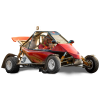 Buggy <b>Kart RSK</b>